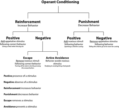 operant conditioning punishment and reward theory ichars reward theory